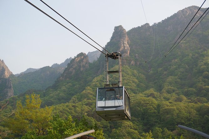 [Premium Private Tour] Mt Seorak & East Sea or Nami island from Seoul - Lunch in Sokcho and the taste of the coast
