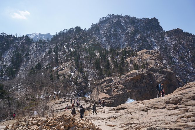 [Premium Private Tour] Mt Seorak & East Sea or Nami island from Seoul - Nami Island as the alternate second stop