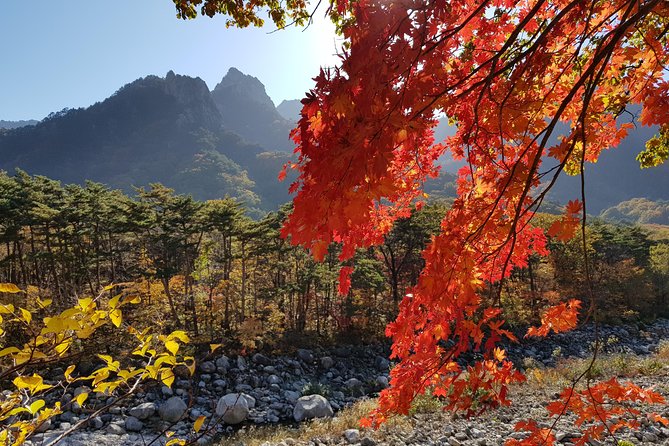 [Premium Private Tour] Mt Seorak & East Sea or Nami island from Seoul - The long drive and who should book