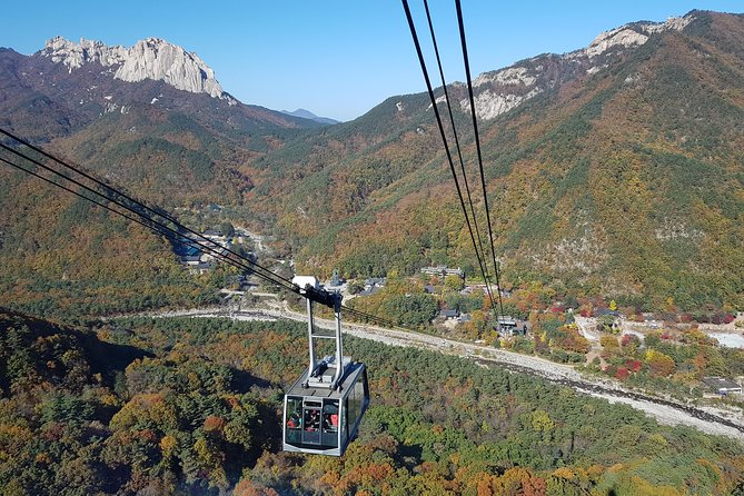 [Premium Private Tour] Mt Seorak & East Sea or Nami island from Seoul - Five hours among Seoraksan’s peaks and valleys