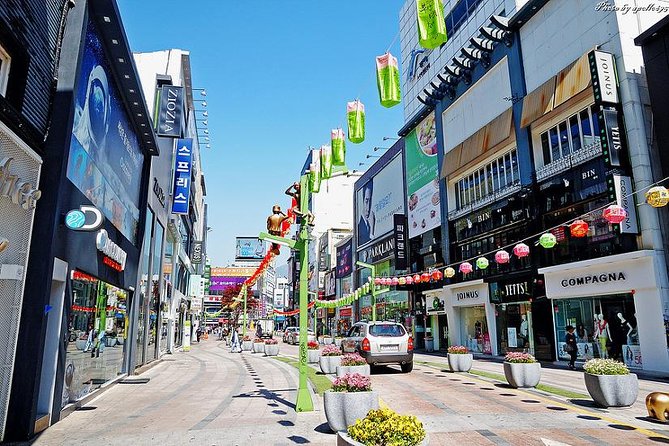 Private Busan tour with gamcheon culture village and the temple (Customizable) - How the private format changes the experience