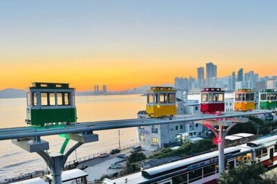 Private Busan Tour with hidden gem of Busan by Local Guide