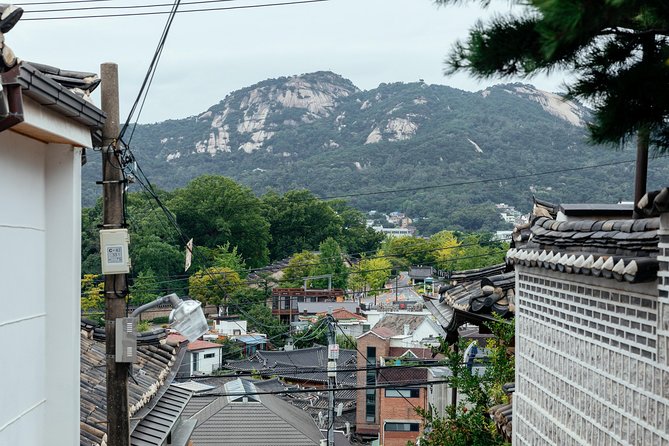 Private City Kickstart Tour: Seoul - Why this short Seoul walk can be useful
