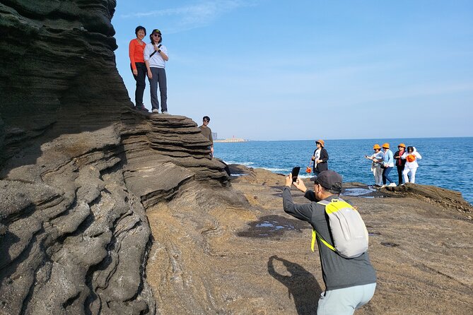Private Day tour East & south & west of All area in jeju island - Jeju Stone Park and the island’s rock culture