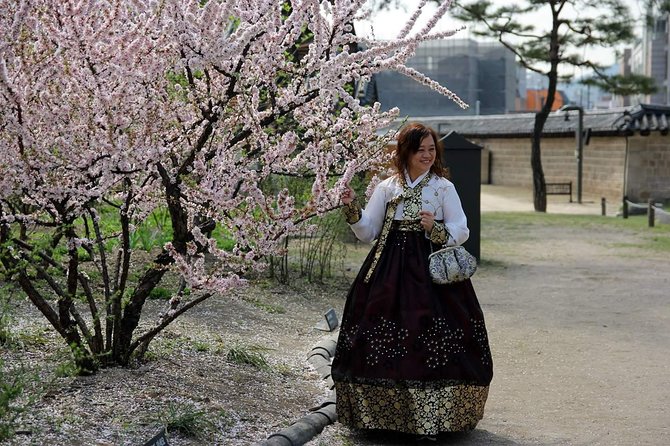 Private day tour Korea(Seoul trip) with Professional Photographer - What the $390 group price really covers
