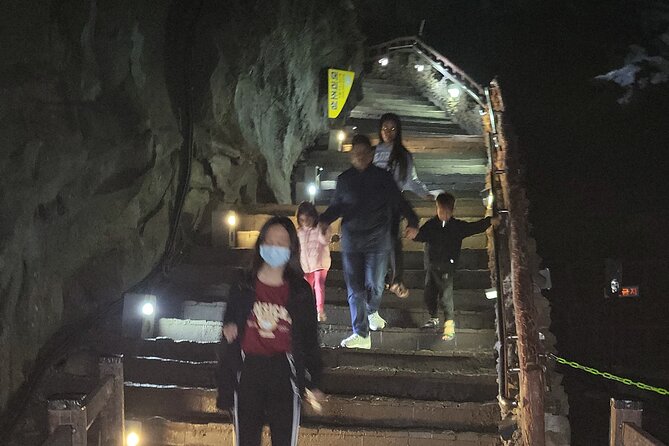 Private Day Tour With Best Jumbo Taxi Driver Tour in jeju island - Seopjikoji trades peak access for open coast