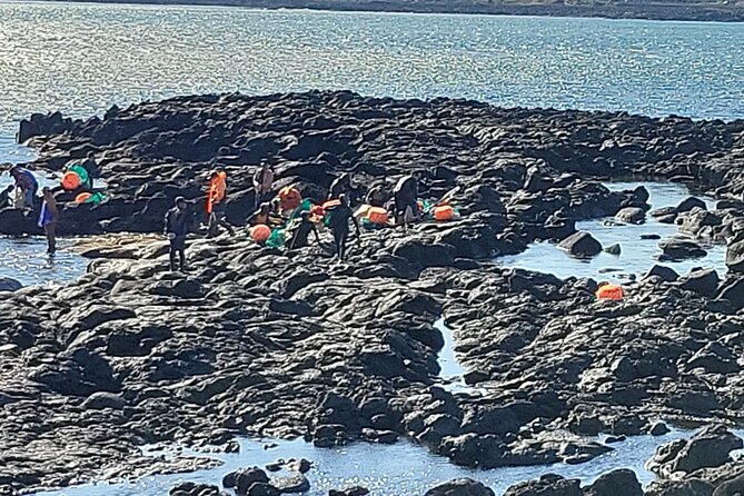 Private Day Tour With Best Jumbo Taxi Driver Tour in jeju island - Seongsan Ilchulbong gives you Jeju’s big view