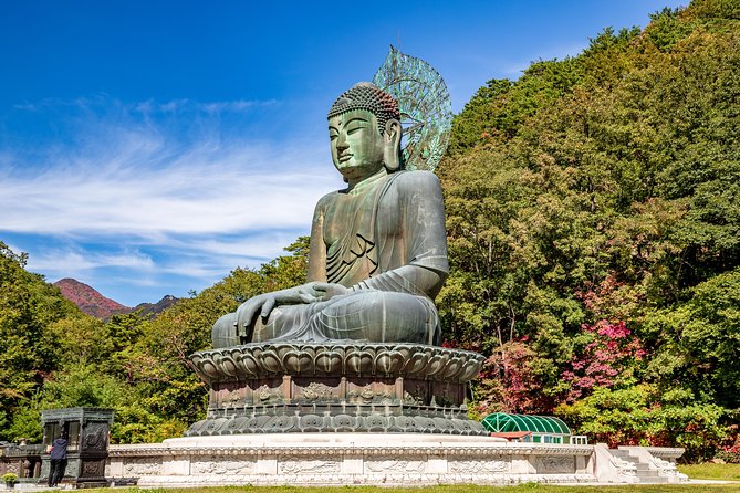 Private Day Trip to Seoraksan National Park - Dongmyeong Port for seafood and sea views
