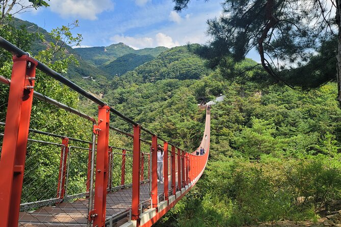Private DMZ Tour and Suspension Bridge + Korean BBQ - Korean BBQ or ginseng chicken soup makes a welcome break