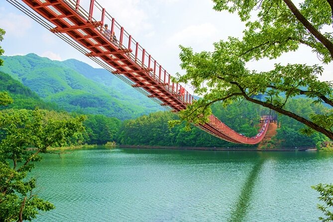 Private DMZ Tour (No Shopping): 3rd Tunnel & Suspension Bridge - Seoul pickup and the long road north