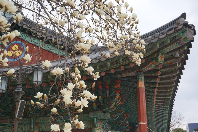 Private English Speaking Driver in Seoul: Airport Service Available - Markets and shopping streets with local help