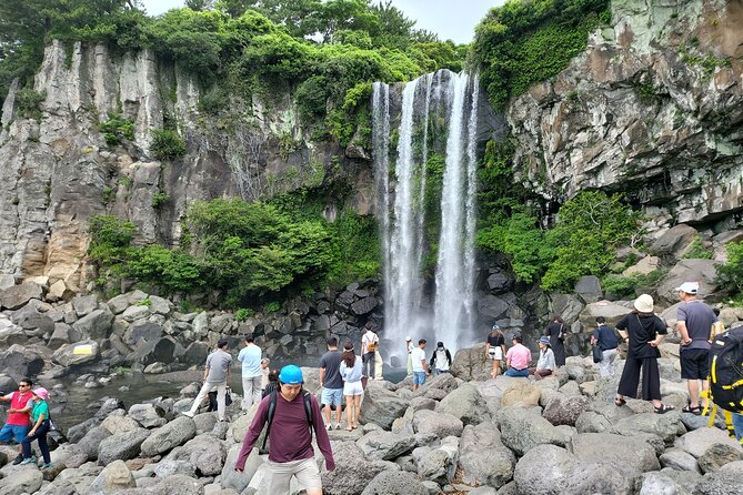Private Half Day South and West Tour in Jeju Island - How Much Value Do You Get for $130?