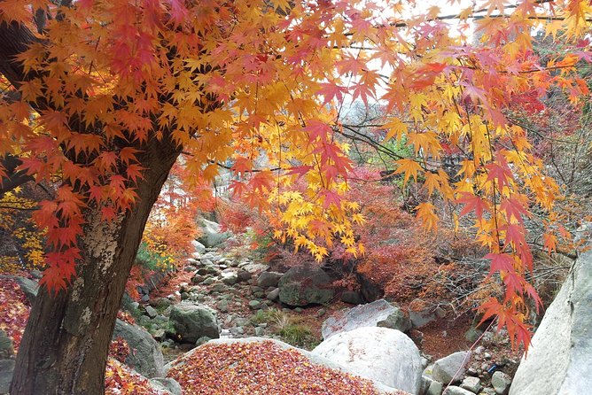 Private Hiking to Bukhansan & Korean Style Spa(Include Lunch) - Fitness, Shoes, Weather, and Timing