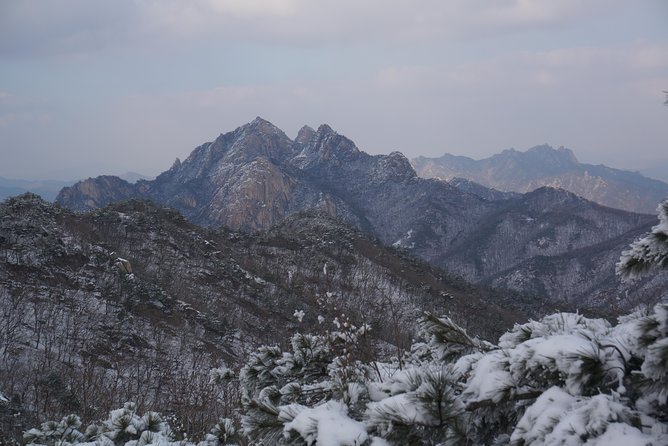 Private Hiking tour to Bukhansan Peak(Baegundae: 836.5m) with Mountain Expert - The trail starts gently, then becomes a proper climb