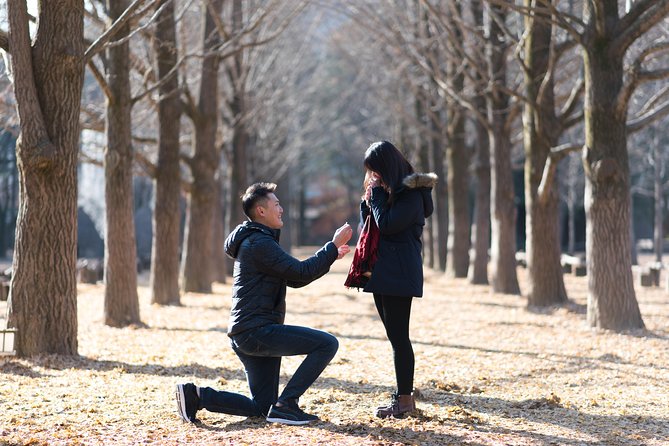 Private Nami Island Photo Shoot and Tour with a Photographer - Three hours among Nami Island’s trees and paths