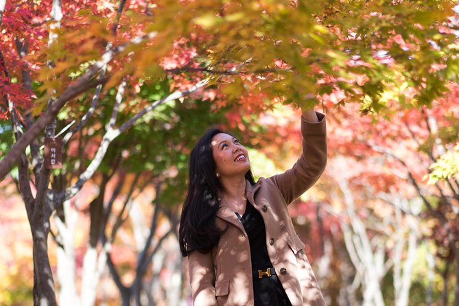 Private Nami Island Photo Shoot and Tour with a Photographer - What you actually receive for $179