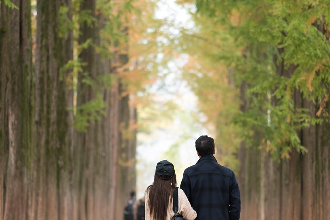 Private Nami Island Photo Shoot and Tour with a Photographer - The private ride from Seoul