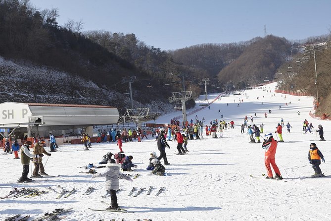 Private Ski Tour(Lesson) near Seoul at Elysian Gangchon Resort - Key points to know before you book