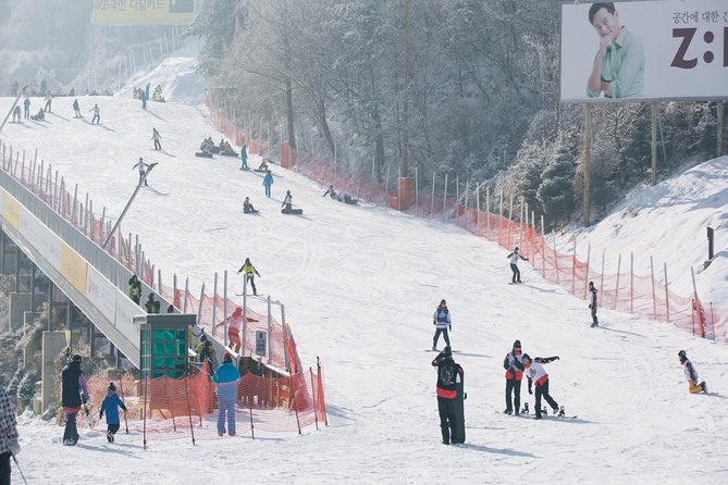 Private Ski Tour(Lesson) near Seoul at Elysian Gangchon Resort - Families should read the age rule carefully
