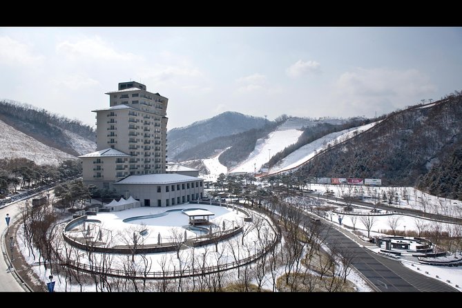 Private Ski Tour(Lesson) near Seoul at Elysian Gangchon Resort - The instructors are the main reason to book
