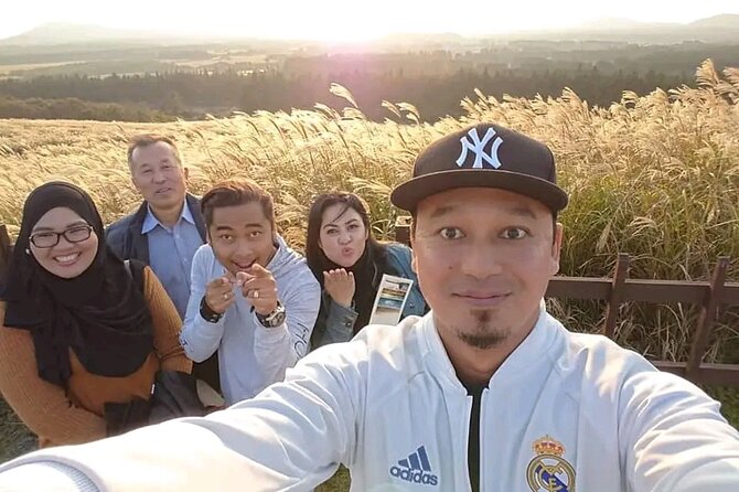 Private Tour in South and East in jeju island - How this Jeju taxi day works