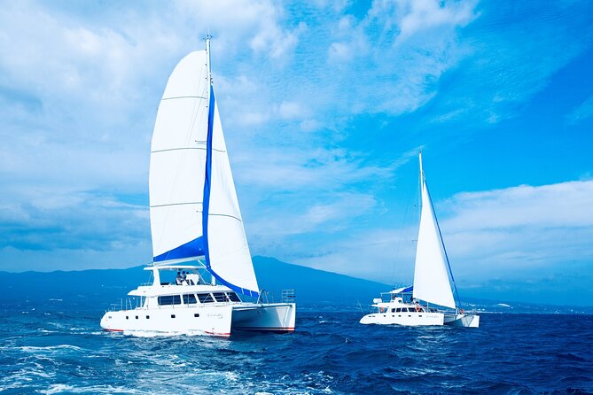 Private Tour in South Jeju including Yacht Cruise - Six useful things to know before booking