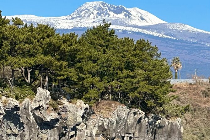 Private Tour in South Jeju including Yacht Cruise - Starting high at the 1100 Altitude Wetland