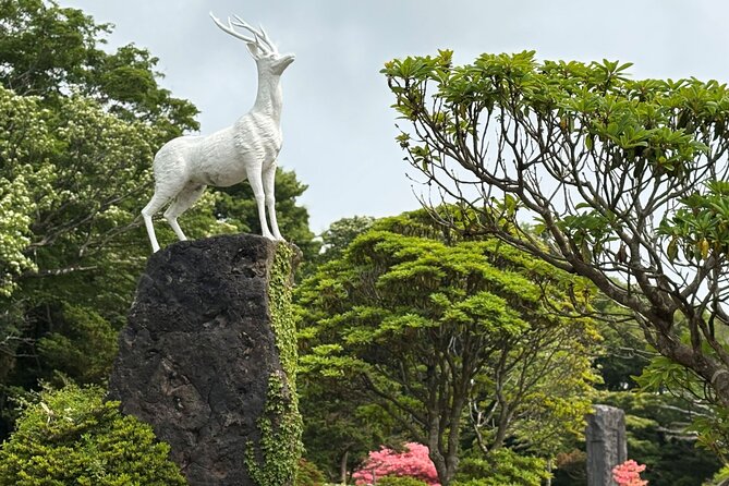 Private Tour in South Jeju including Yacht Cruise - Is $215 per person good value?