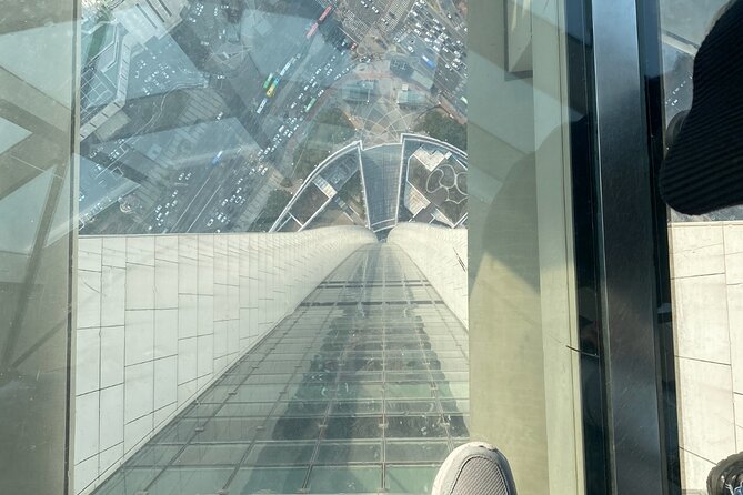 Private tour Lotte World,Tower,Aquarium(All Tickets are included) - One hour above Seoul at Lotte World Tower