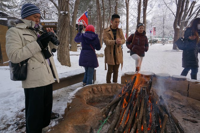 Private Tour: Nami Island& (Alpaca World 'or' Morning Calm)&Lunch - Lunch and the value of private transport