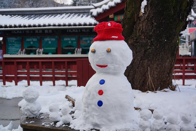 Private Tour: Nami Island& (Alpaca World 'or' Morning Calm)&Lunch - Timing, pickup, and practical planning