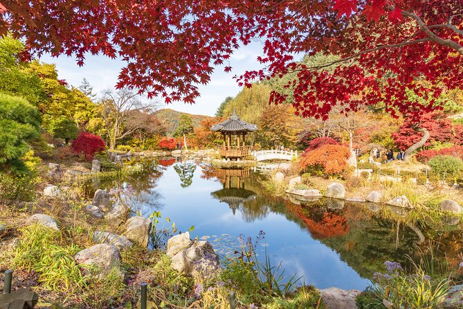 (Private tour) Nami Island + Railbike + Garden of morning calm - Why this private Seoul day trip works