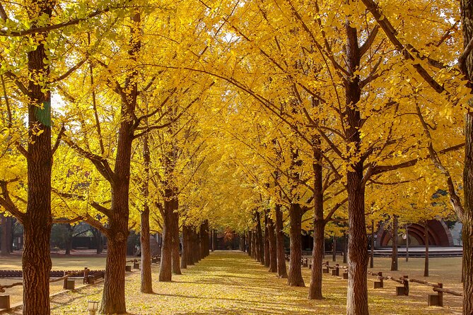 (Private tour) Nami Island + Railbike + Garden of morning calm - What the 10-hour schedule feels like