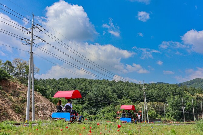 (Private tour) Nami Island + Railbike + Garden of morning calm - Nami Island: an easy introduction to the countryside