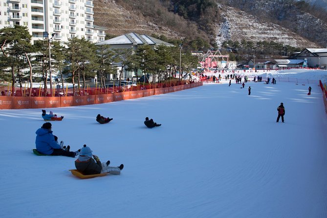 [Private Tour] Nami Island & Snow Viewing and Snow sled (More Members Less Cost) - Reaching Nami Island after the Seoul pickup