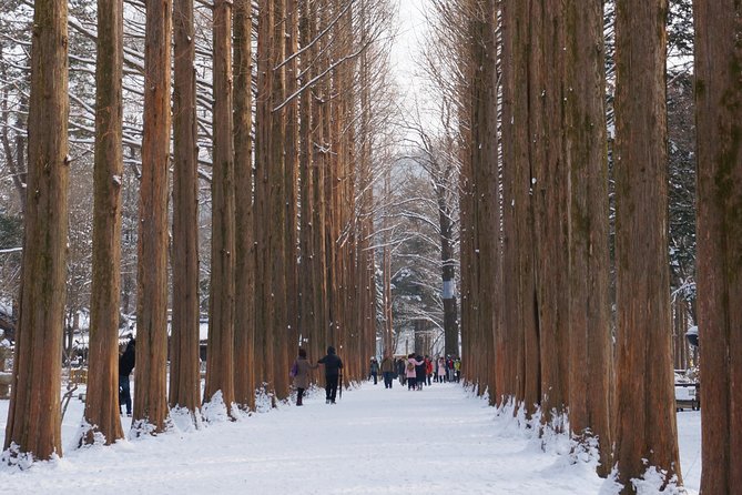 [Private Tour] Nami Island & Snow Viewing and Snow sled (More Members Less Cost) - Elysian Gangchon brings the active half