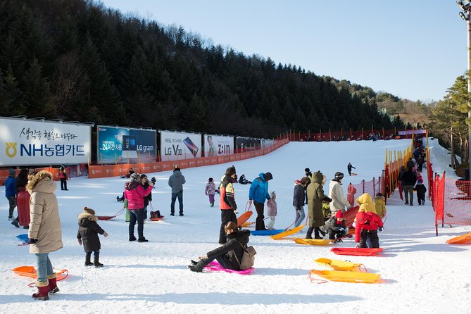 [Private Tour] Nami Island & Snow Viewing and Snow sled (More Members Less Cost) - How the timing shapes your day