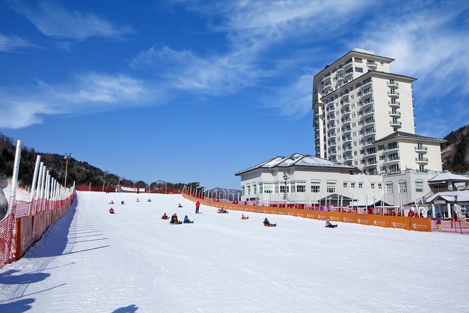 [Private Tour] Nami Island & Snow Viewing and Snow sled (More Members Less Cost) - Is $224 per person a fair price?