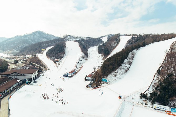 [Private Tour] Nami Island & Snow Viewing and Snow sled (More Members Less Cost) - What to wear and bring for the cold