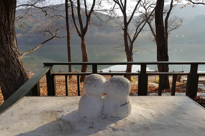 Private Tour Nami Island with Petite France 'and/or' The Garden of Morning Calm - Guides Make or Break the Day