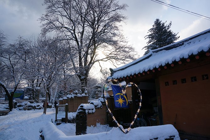 Private Tour Nami Island with Petite France 'and/or' The Garden of Morning Calm - Should You Book This Private Day Trip?