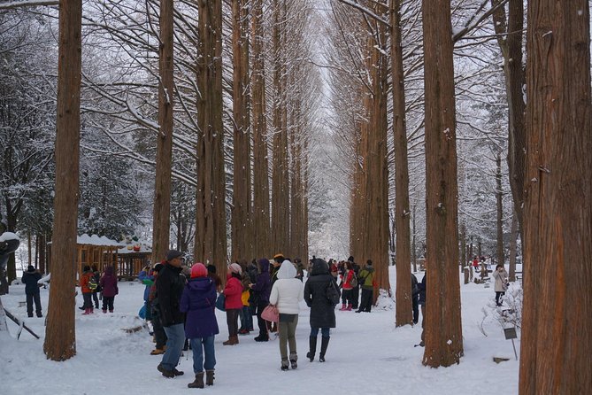 Private Tour Nami Island with Petite France 'and/or' The Garden of Morning Calm - Petite France: Pretty, Famous, and the Weak Link