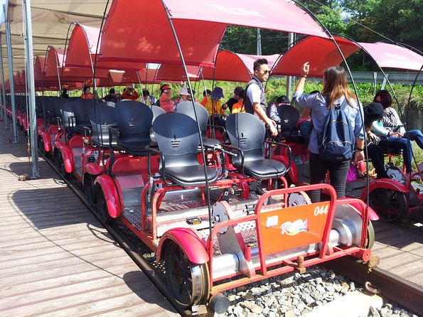 Private Tour Rail Bike & Nami Island & (Petite France or Garden of Morning Calm) - What the private guide adds to the day