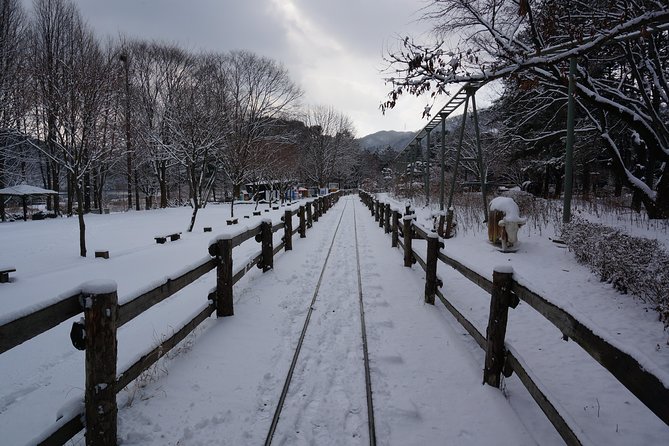 Private Tour Rail Bike & Nami Island & (Petite France or Garden of Morning Calm) - Who will enjoy this tour most?