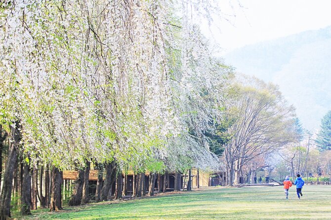 Private Tour to Alpaca world &Nami Island& Railbike with Tickets - Booking details that matter