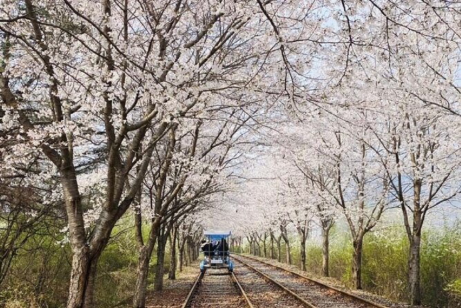 Private Tour to Alpaca world &Nami Island& Railbike with Tickets - Should you book this private countryside tour?