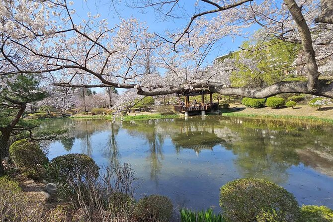 Private World Heritage Gyeongju Taxi Tour - Cheonnyeon Forest Garden and Bunhwangsa Temple
