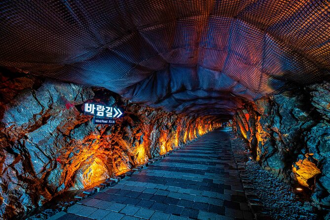 Seohaerang Cable Car, Gwangmyeong Cave & Suwon fr Seoul(EG Tour) - Who should book this day trip?
