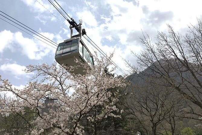 Seoraksan and Cherry Blossom Lake 1 day trip from Seoul - Yeongrangho Lake and the spring blossom setting