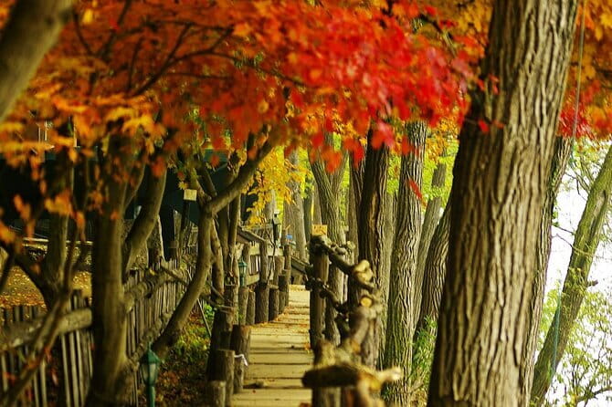Seoraksan and Cherry Blossom Lake 1 day trip from Seoul - Booking timing, cancellation, and practical planning